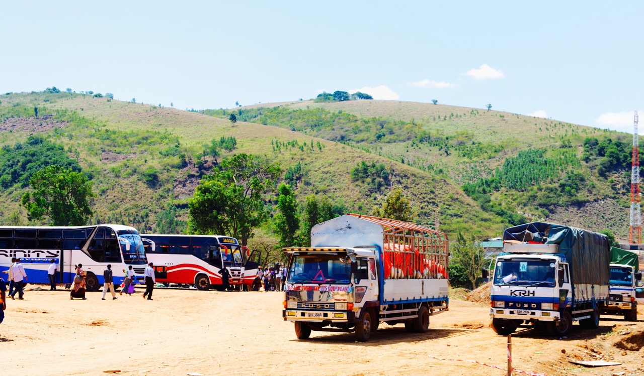 The Rise, Fall and Rise of the Anchor Borrowers Program