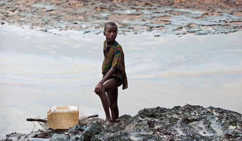 Valuing Nigeria's Resources