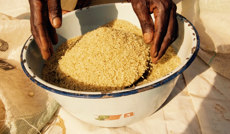 What Nigerian Farmers Really Need