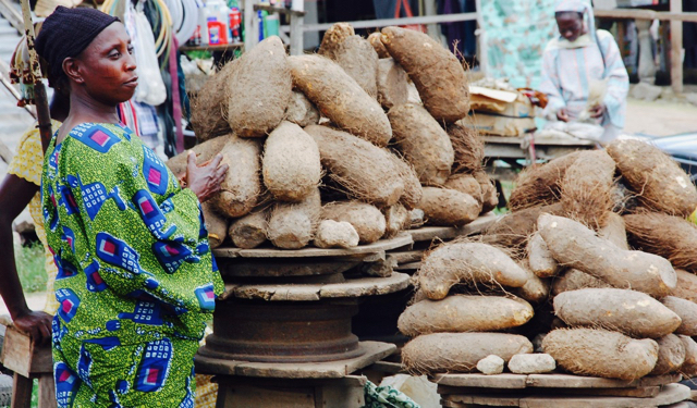 Is Agriculture For Feeding Or Earning Dollars?