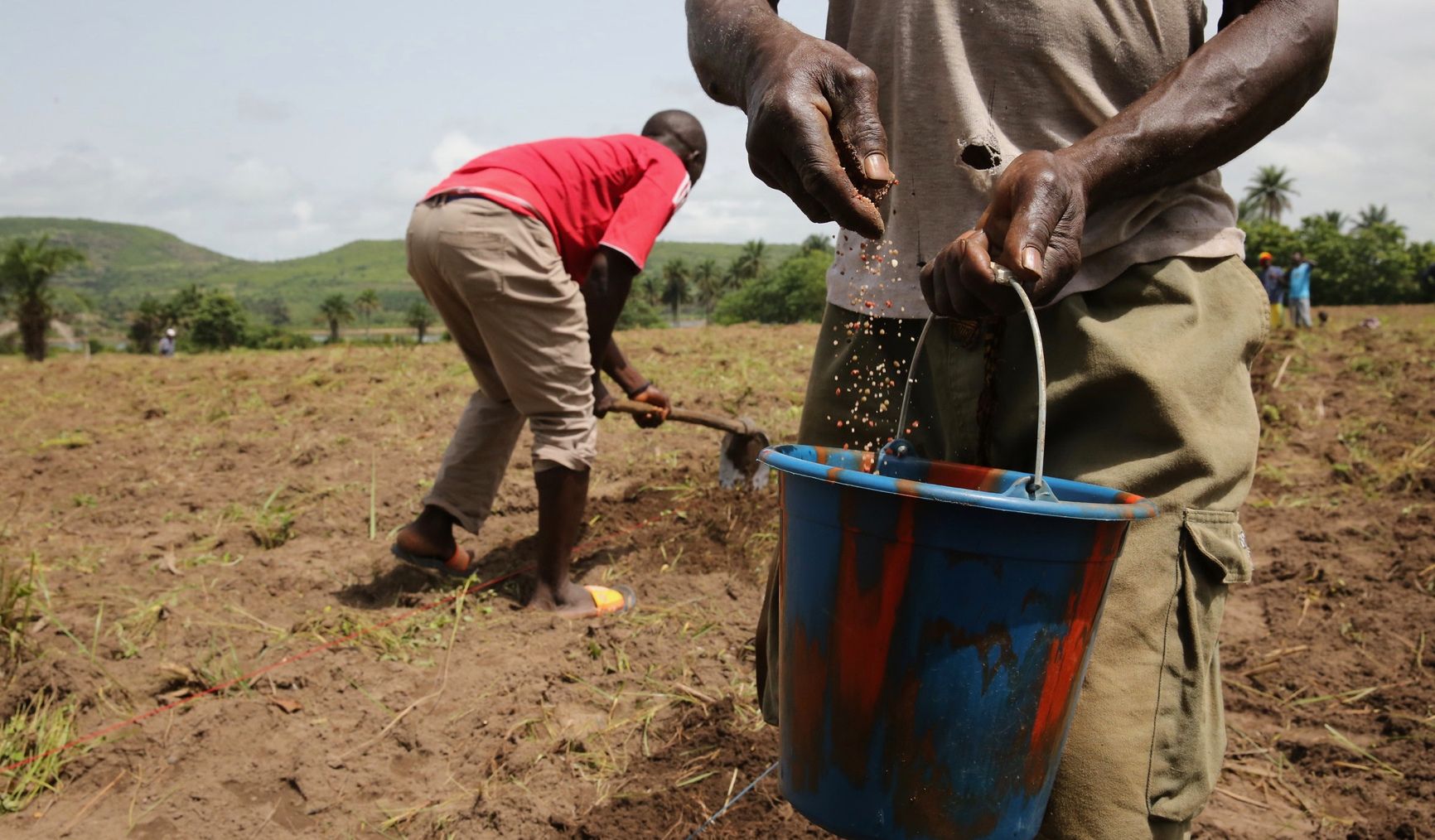 3 ways to improve Nigeria’s agriculture sector