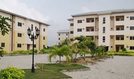 A lesson on tomatoes, the vegetable-fruit