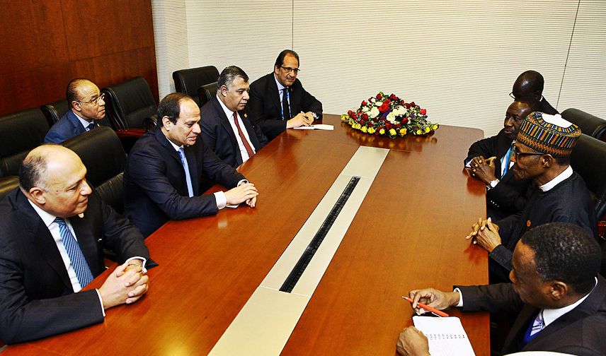 Exchange Rate Lessons from Egypt