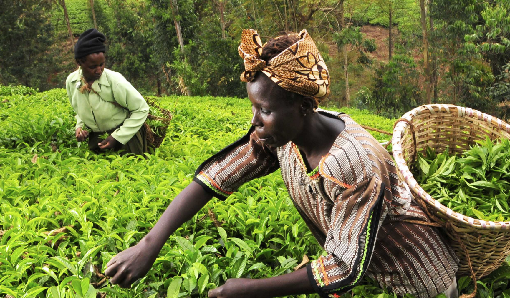 Policy Inconsistency in Nigeria