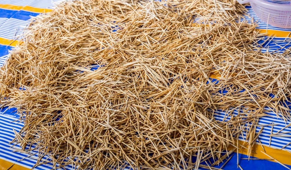 What is wrong with importing toothpicks?