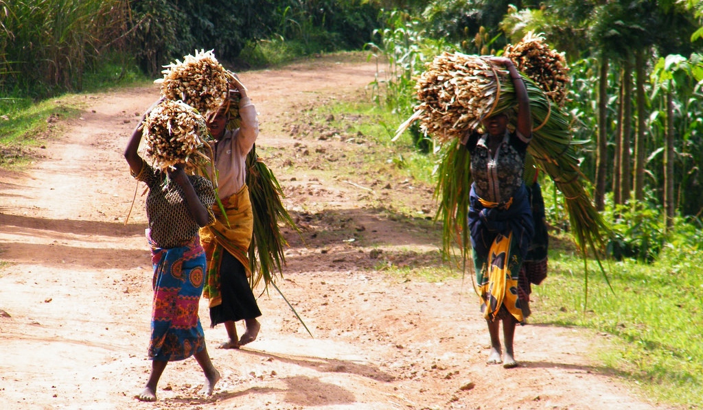 Africa at Work for Women