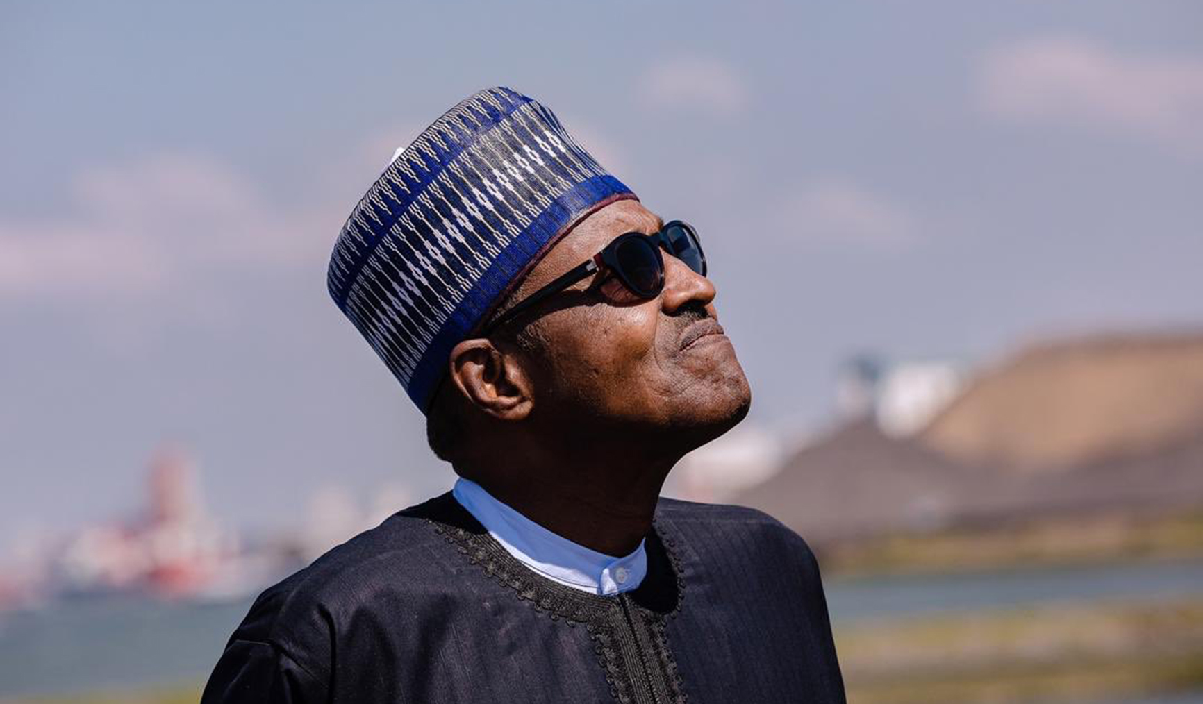 2019 from the Cynics