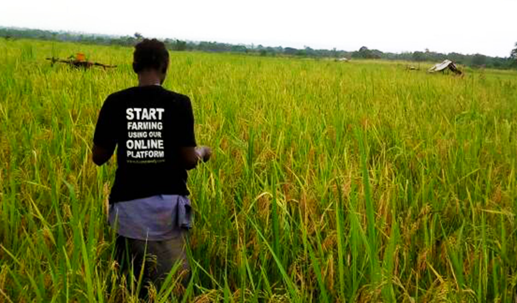 How Farmcrowdy is changing the scale of Nigerian food production